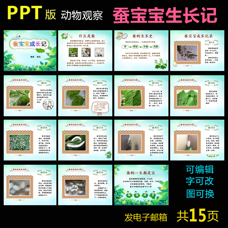 蚕宝宝生长记 科学观察日记图文版