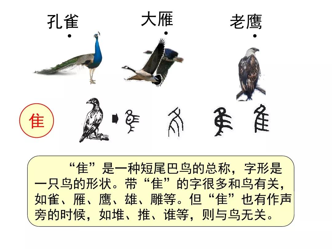 部编版二年级语文上册识字3《拍手歌》图文讲解